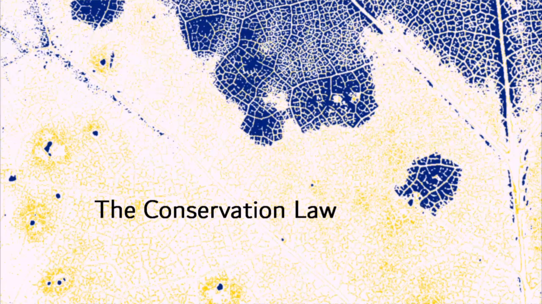The Conservation Law